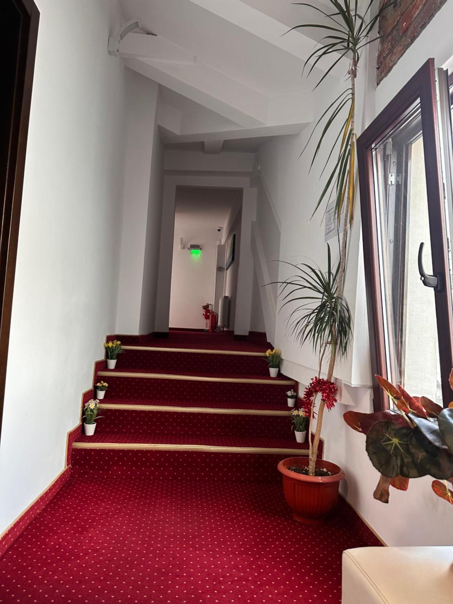 Pensiunea Sada Făgăraş Esterno foto
